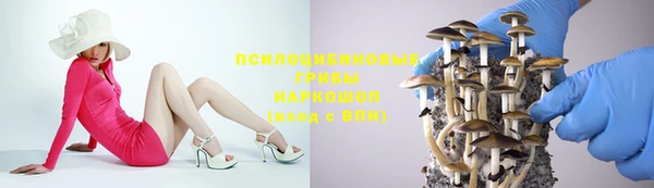 каннабис Аркадак