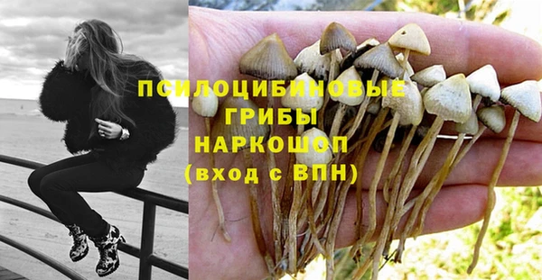 каннабис Аркадак